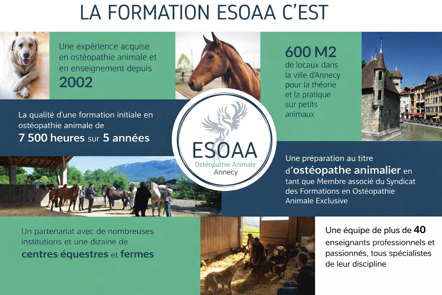 ChatGPT Image 22 janv. 2026, 15_28_29