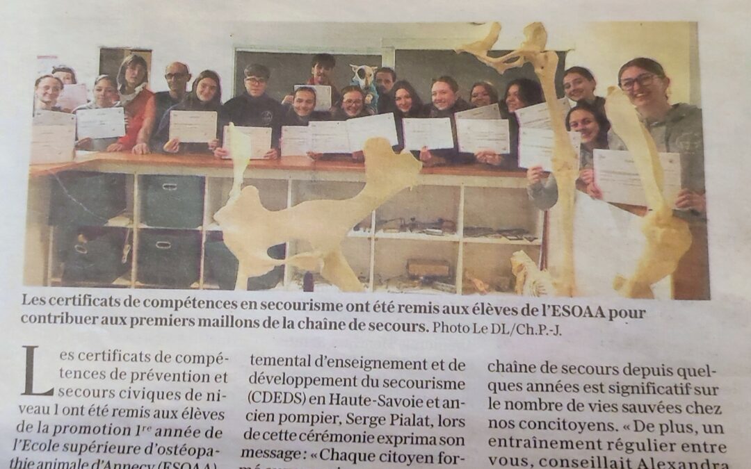 Formation au secourisme