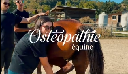 Pratique en ostéopathie équine à l’Écurie du Chenelet