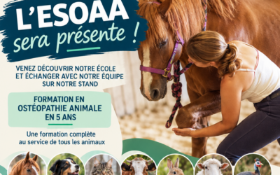 Salon de l’Étudiant en Haute-savoie